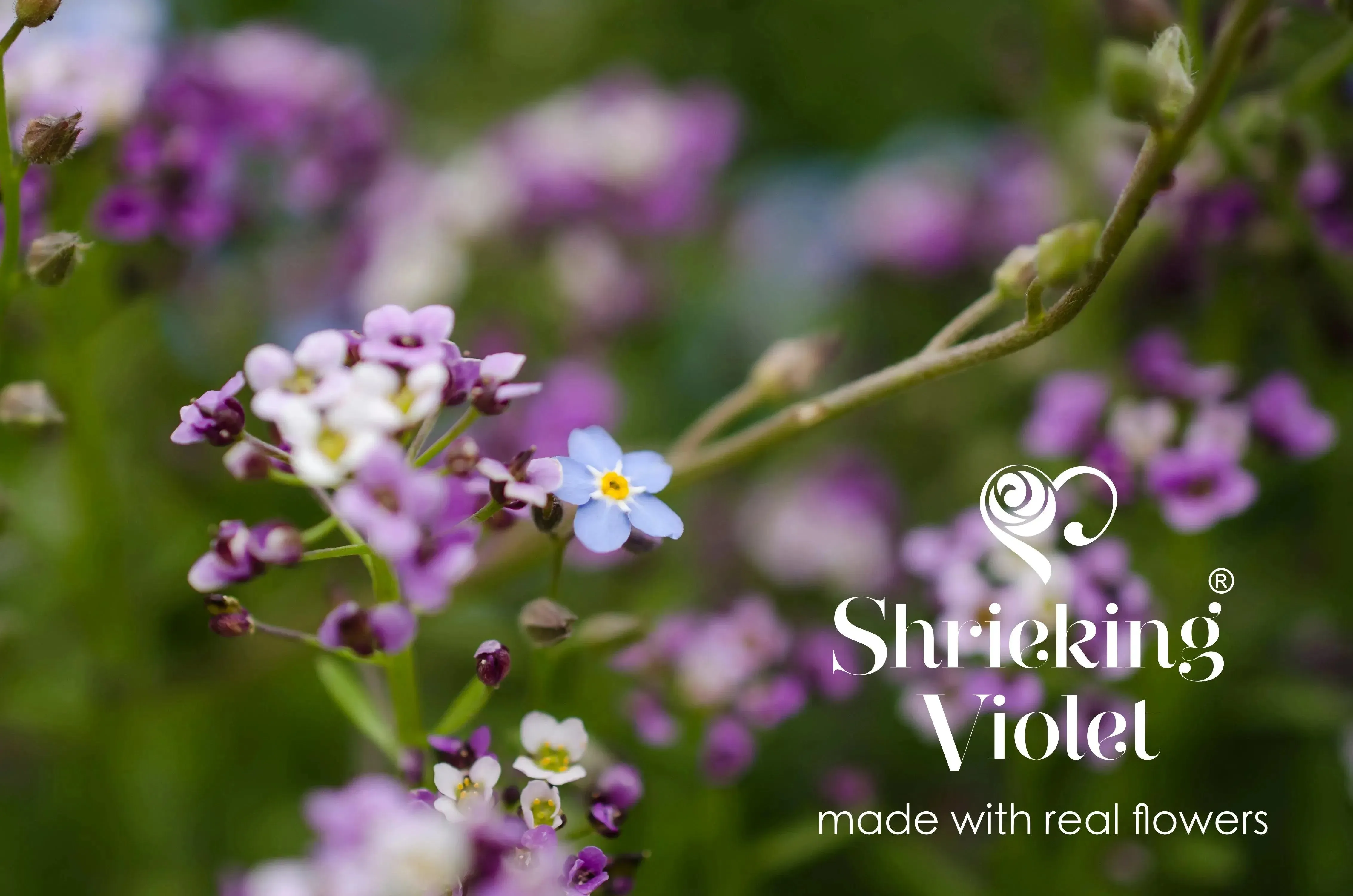 Handmade Sterling Silver Ballerina Pendant with Real Flowers | Tiny Purple Verbena & forget-me-nots