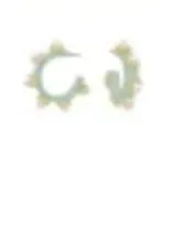 Savannah Huggie Earrings