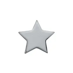 Star Floating Charm