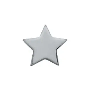 Star Floating Charm